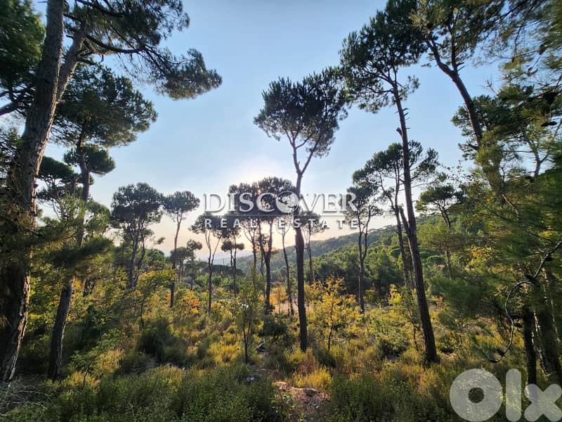 Rare Find Alert: Unmatched Land in Shalimar, Baabdat  ( chalimar) 3