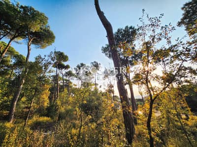Rare Find Alert: Unmatched Land in Shalimar, Baabdat  ( chalimar)