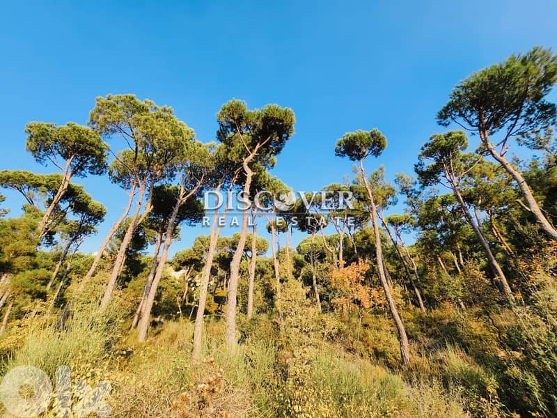 Rare Find Alert: Unmatched Land in Shalimar, Baabdat  ( chalimar) 5