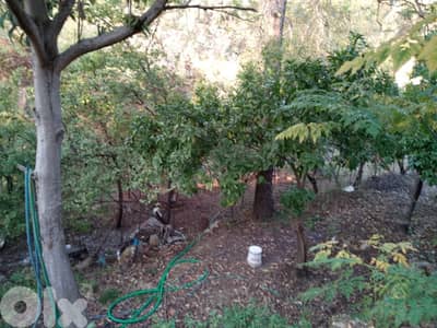 1864 Sqm Land + 150 Sqm House For Sale In Bleibel | Mountain View