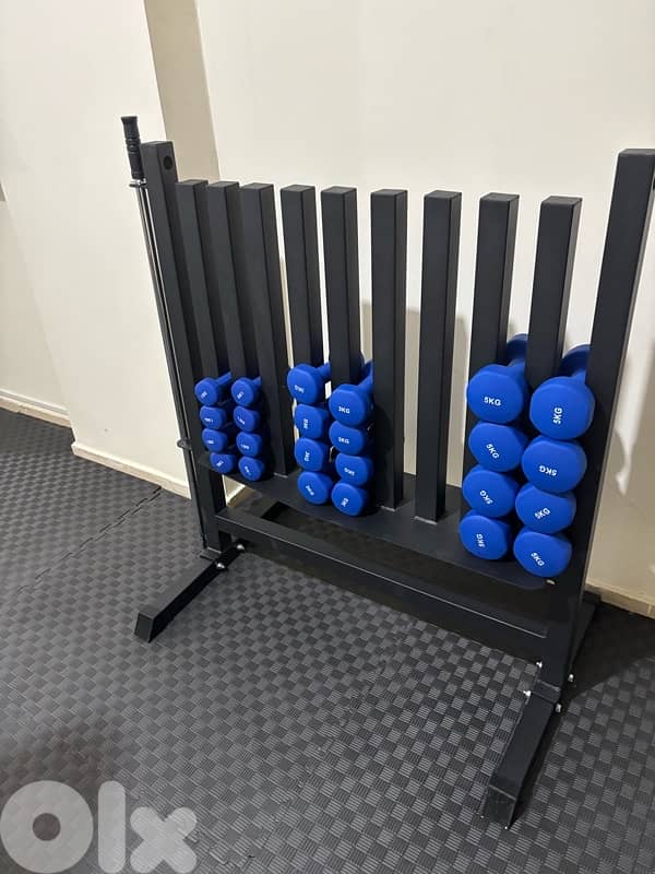 dumbell rack with neoprene dumbells 0