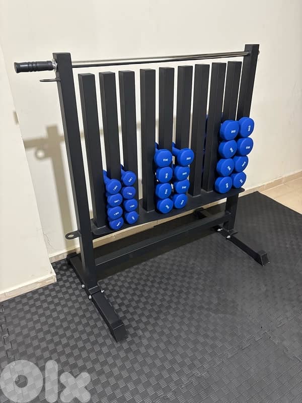 dumbell rack with neoprene dumbells 1
