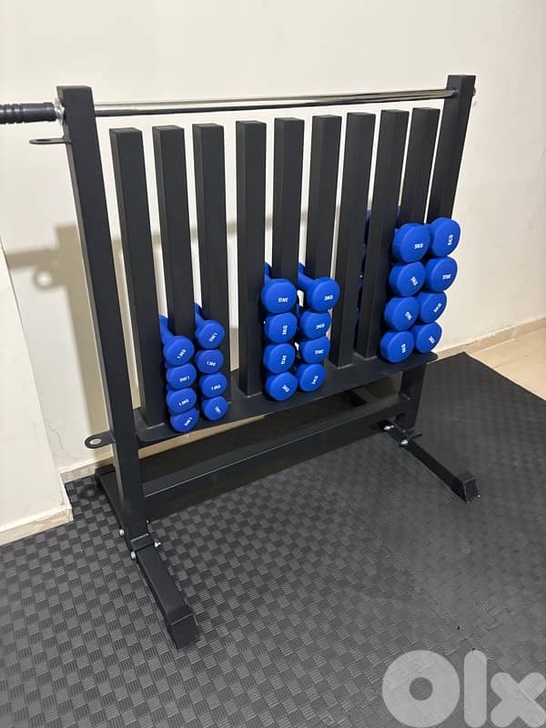 dumbell rack with neoprene dumbells 2