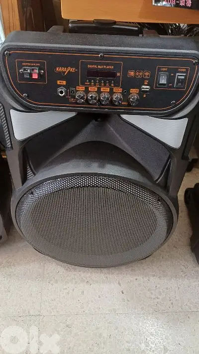 speaker 15 inch active
