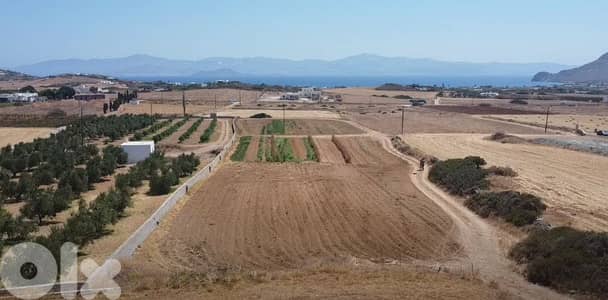 6,350 SQM Prime Location Land in Paros Island, Greece