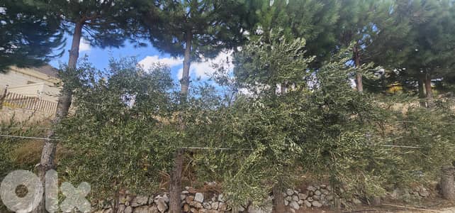 RWK375GZ - Land For Sale In Wata Joz - أرض للبيع في وطى الجوز