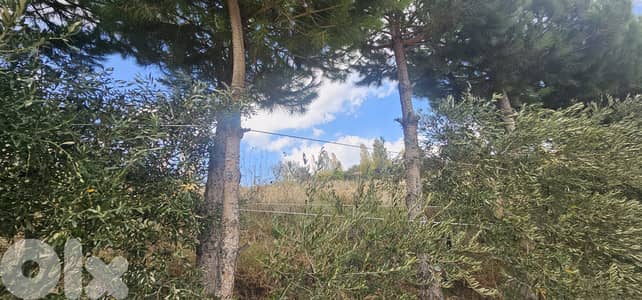 RWK375GZ - Land For Sale In Wata Joz - أرض للبيع في وطى الجوز