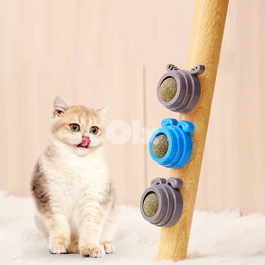 Cat Nip 0