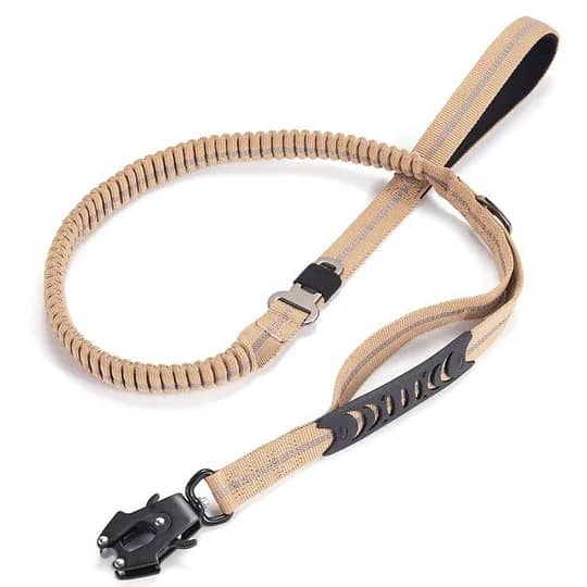 Medium to Large Dog Buckle - Explosion-Proof Impact Design 0