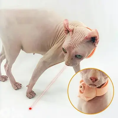 Cat collar toy build in led laser