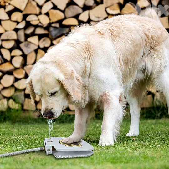 Outdoor automatic step on drinking fountain for dogs 0