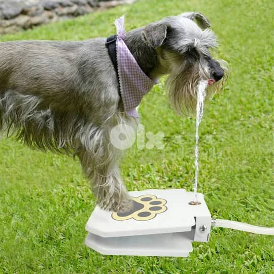 Outdoor automatic step on drinking fountain for dogs 2