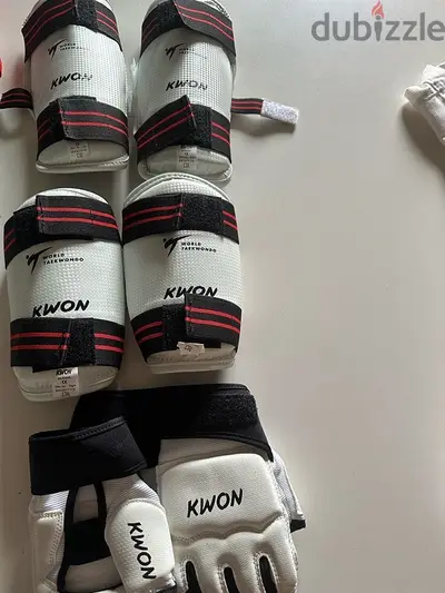 Taekwondo protection Gear