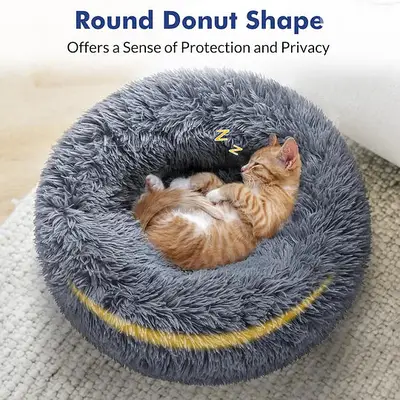 Plush Sofa