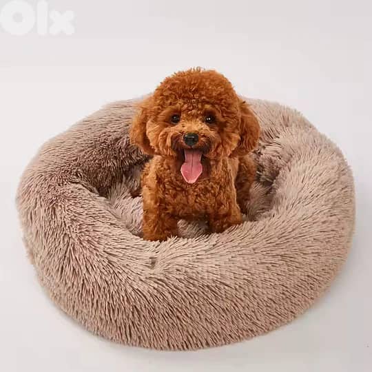 Plush Sofa 2