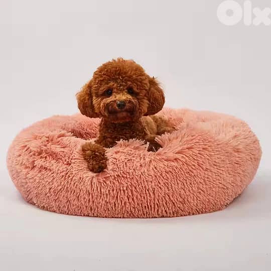 Plush Sofa 3