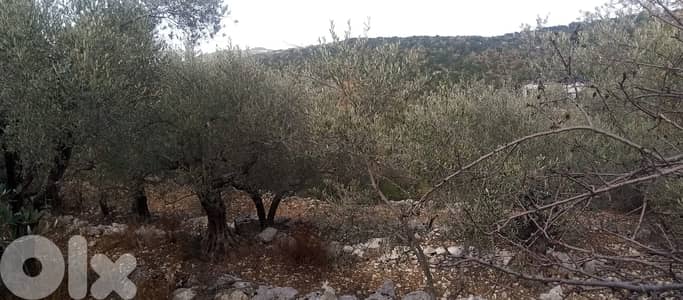 RWB135PK - Land for sale in Mechmech Jbeil