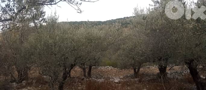 RWB135PK - Land for sale in Mechmech Jbeil