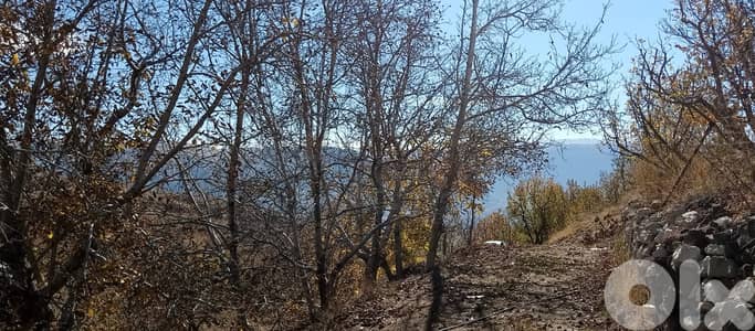 RWB141PK - Land for sale in Laklouk ( Akoura ) - Jbeil