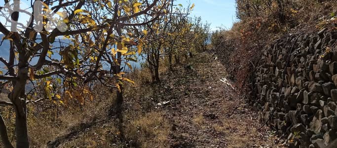 RWB141PK - Land for sale in Laklouk ( Akoura ) - Jbeil