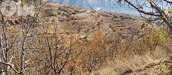 RWB141PK - Land for sale in Laklouk ( Akoura ) - Jbeil