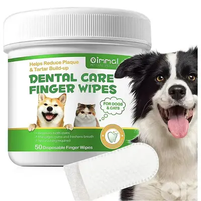 Dental Care Organic Pet Glove Wipes