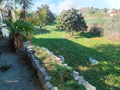 Land for sale in Ghouma Batroun ارض للبيع في غوما بترون