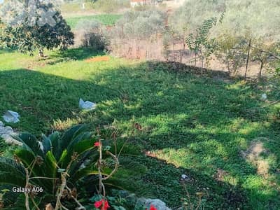 Land for sale in Ghouma Batroun ارض للبيع في غوما بترون