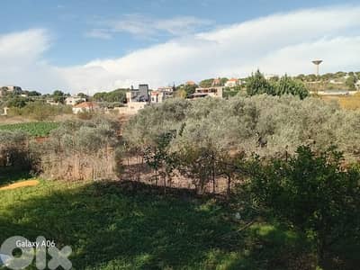 Land for sale in Ghouma Batroun ارض للبيع في غوما بترون