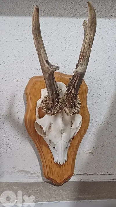 antique