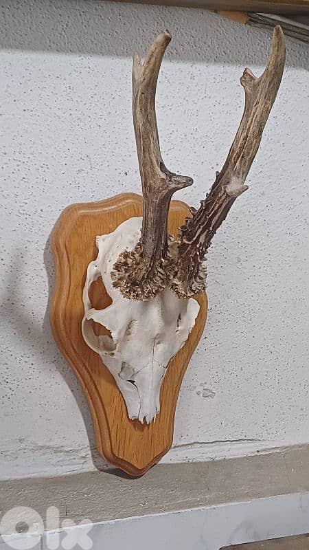 antique 2
