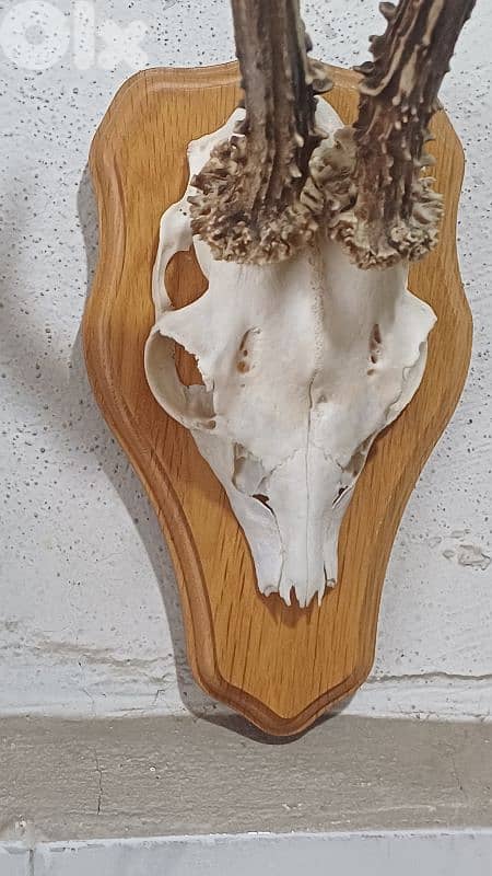 antique 3