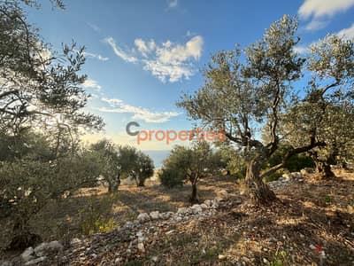 Land For Sale in Jeddayel ارض للبيع في جدايل CPJRK243