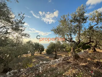Land For Sale in Jeddayel ارض للبيع في جدايل CPJRK243