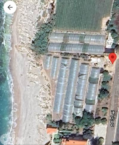 land for sale in naher ibrahim. ارض للبيع في نهر ابراهيم