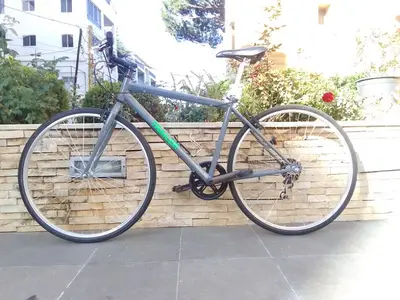 Trailer bike