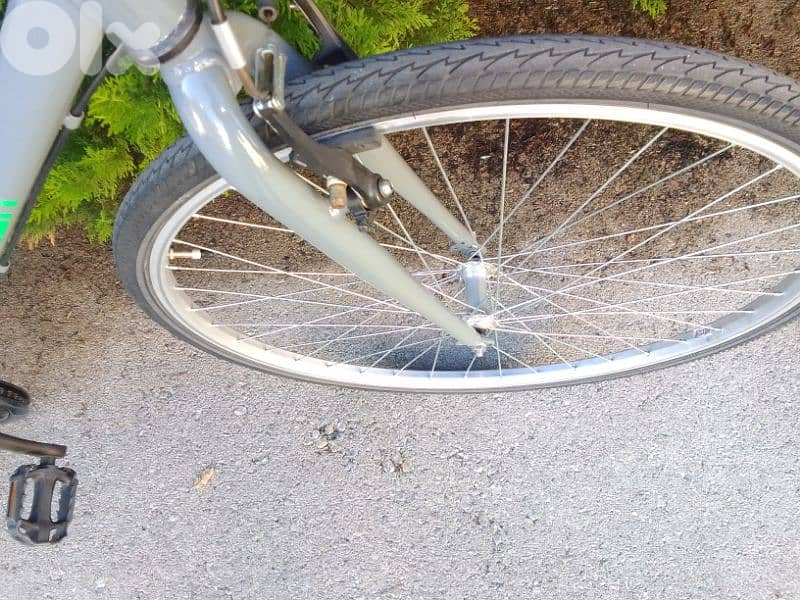 Trailer bike 2