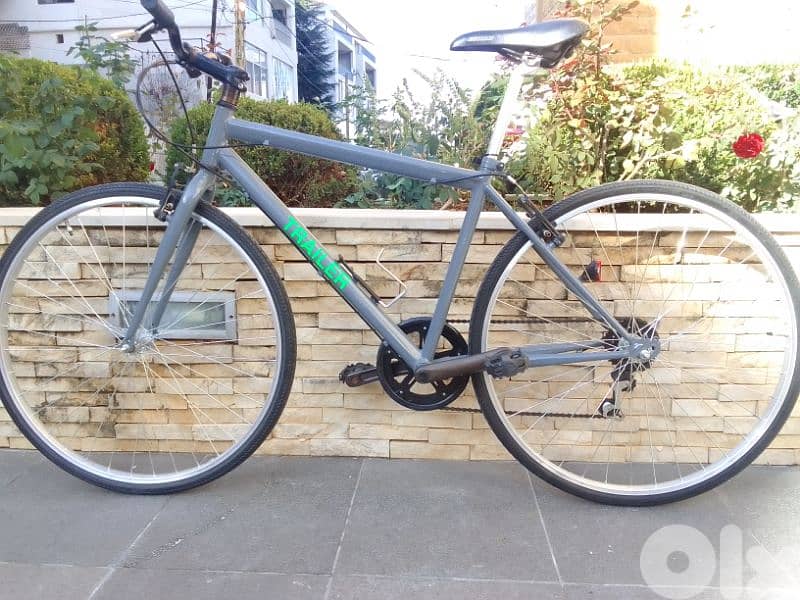 Trailer bike 4