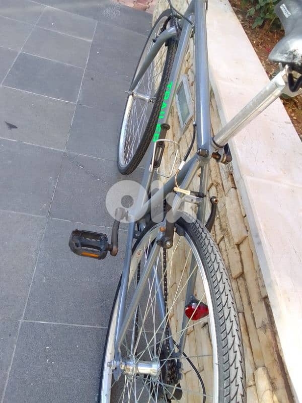 Trailer bike 5