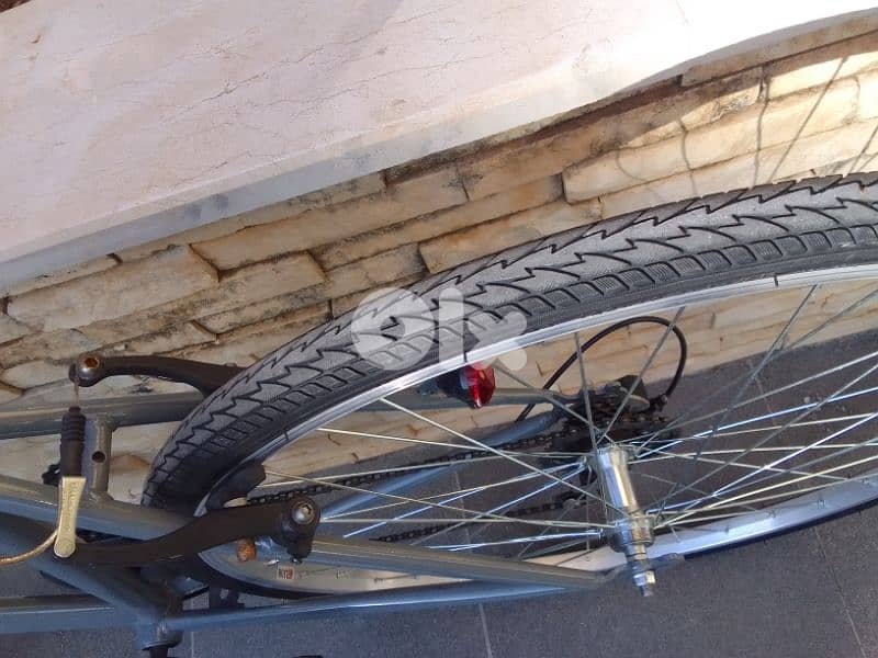 Trailer bike 6