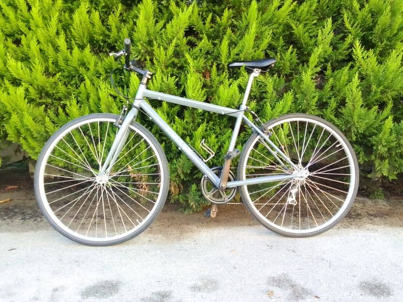 Trailer bike 9