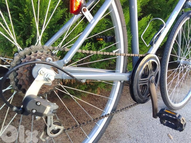 Trailer bike 10