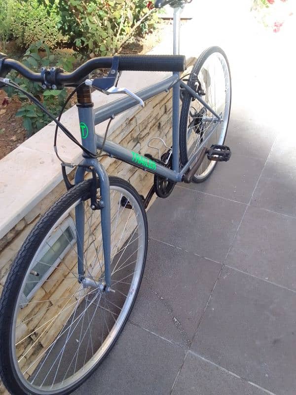 Trailer bike 12