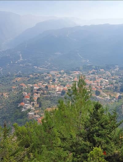 Land For Sale In Bchaaleh Batroun ارض للبيع في بشعله