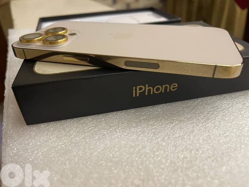 iphone 13 Pro 1