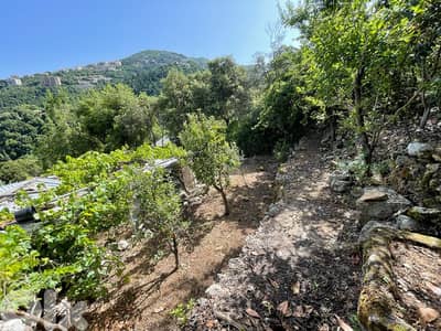 RWK111CA - Traditional House For Sale In Kfour With Huge Land.