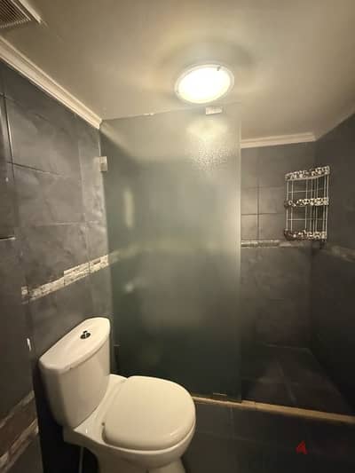 Fully furnished one bedroom Apartment in Daychounieh
