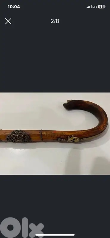 super rare 19th century Scottish gents walking stick