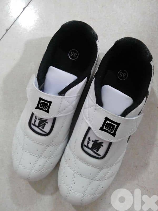 Taekwondo shoes 0