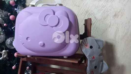 travel bag,  makeup bag